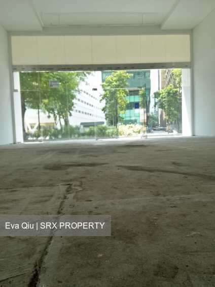Trivex (D13), Shop House #204427751